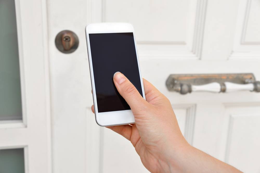 phone door entry